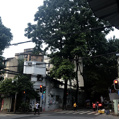 【白挑第二站】南岭以南，木棉花开——广州海航威斯汀活力套房入住报告#金秋畅游#