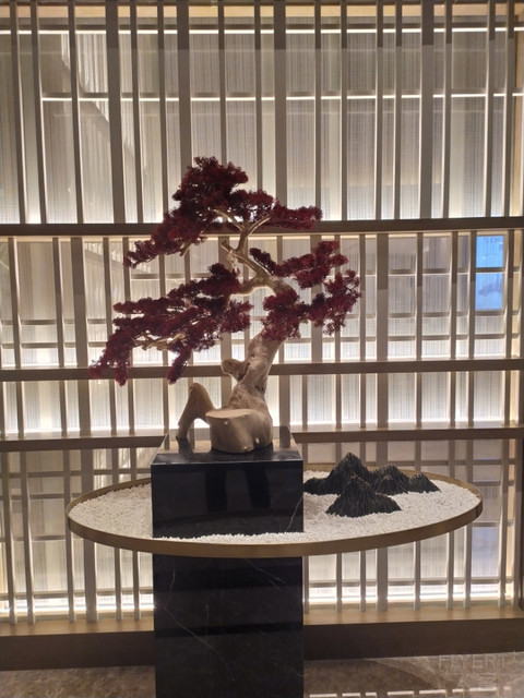 【沈阳建国璞隐酒店（瑞成东方酒店）】--论坛首发