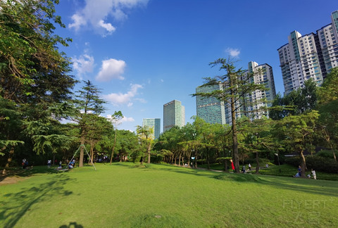 上海浦东嘉里大酒店详细测评（冲万花文）