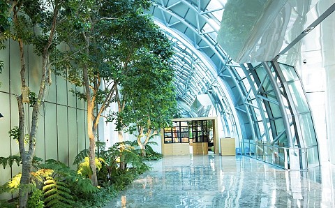 160958NJJJVTUCAIAFSBOK.png
