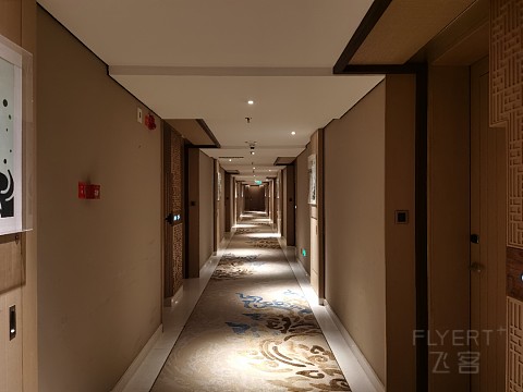 #金秋畅游#『西双版纳云投喜来登』4p的价格住Grand性价比不要太高