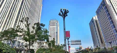 IMG_20200929_165659-01.jpg