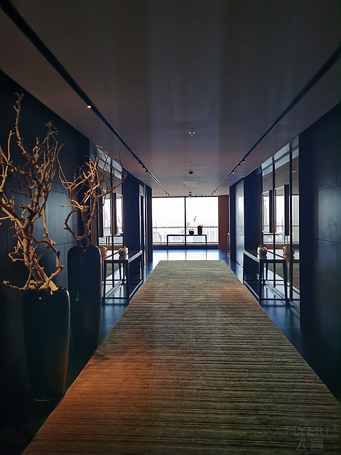 上海全50家万豪系酒店入住体验报告-SP篇（第51家-上海宝格丽）