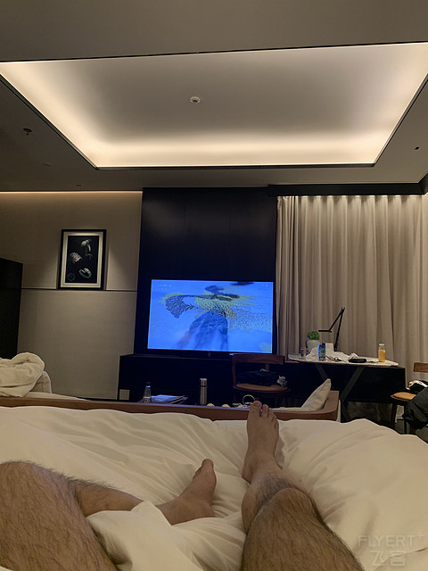 上海全50家万豪系酒店入住体验报告-SP篇（第51家-上海宝格丽）