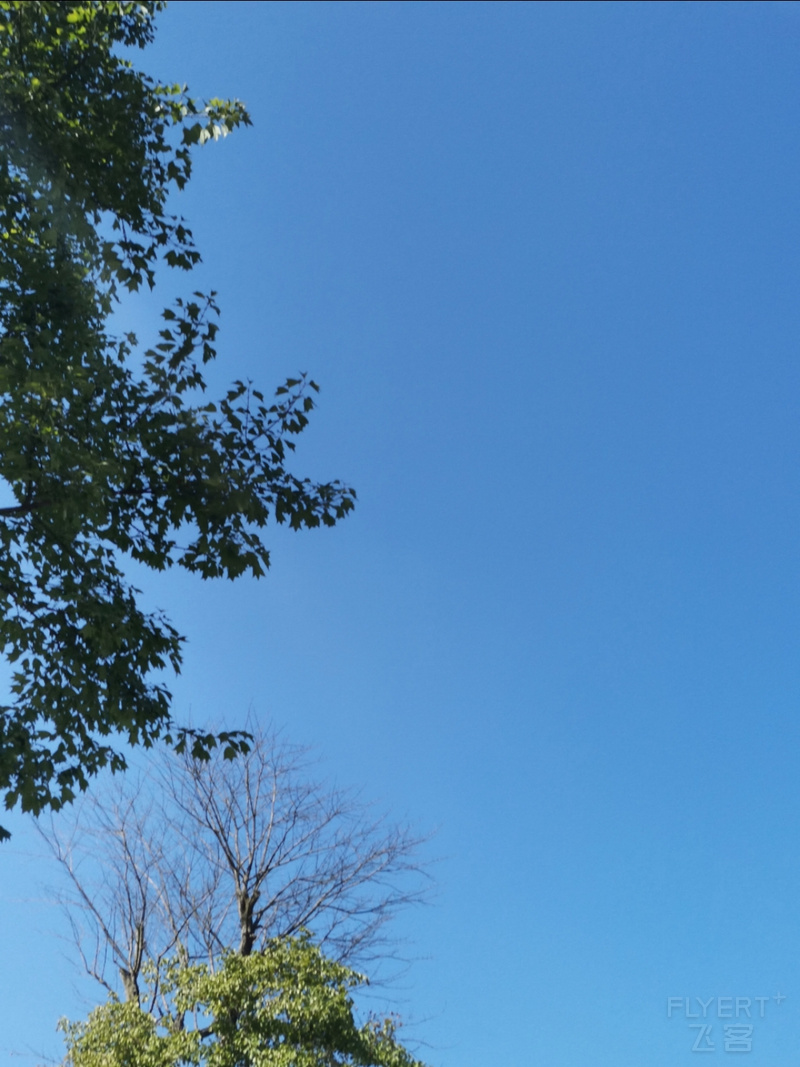 IMG_20201005_093659.jpg