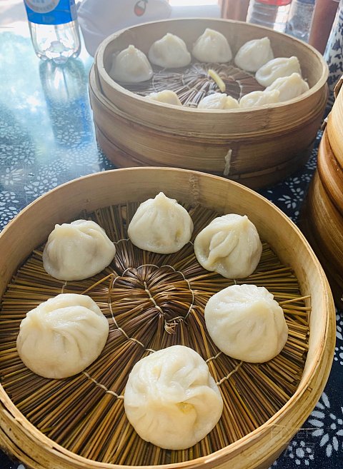 #金秋畅游#上海五天四夜爸爸生日之旅-第二站 上海嘉定凯悦酒店8/14-8/16