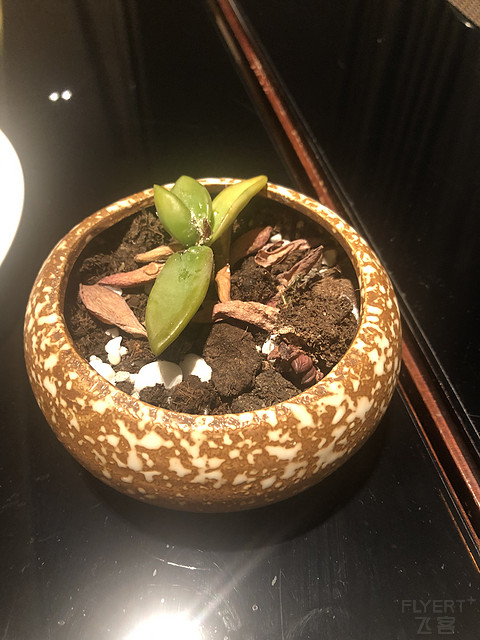 钛金卡，只升级角房，还不是行政楼层