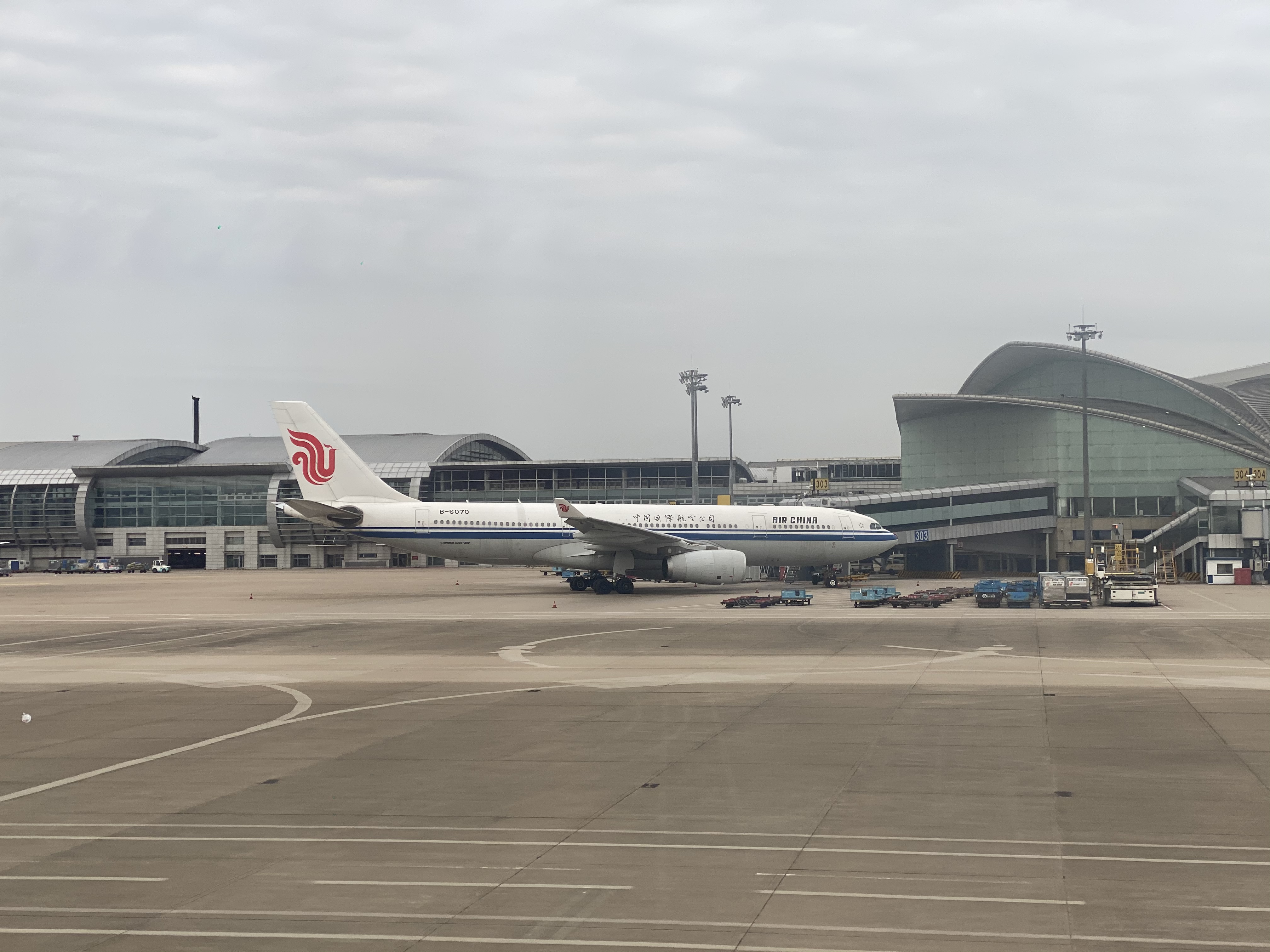 - CA1719 鱨