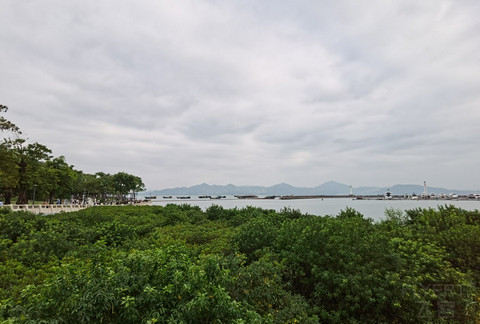 完美体验深圳中洲万豪 期待下一次入住！