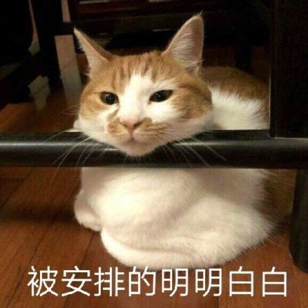 ɶ츮ϲ