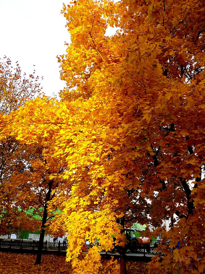 20181014_213027_mh1539526225568.jpg 20181014_213027_mh1539526225568.jpg