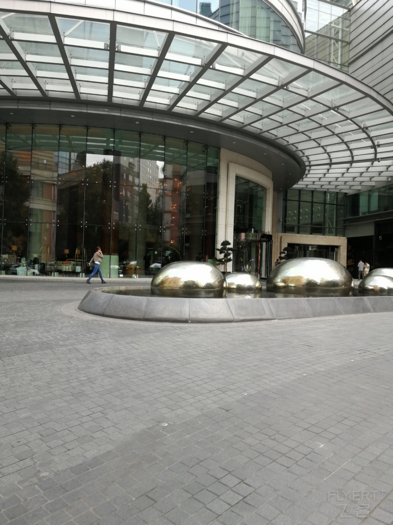IMG_20201010_120338.jpg