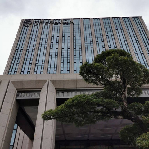 蜂虿聚吴州，推贤奉圣忧—上海宝华喜来登行政套房体验