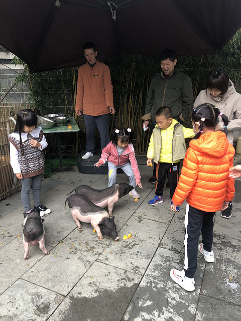 151507NTAWBBQZNOXBPATM.png