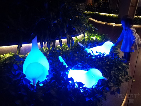 扬帆起航—三亚海棠湾仁恒皇冠假日酒店