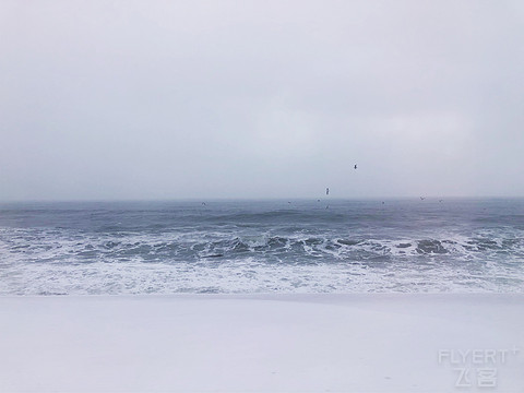 163037JSJRFLUSMPALRVZQ.png