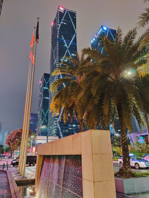 【狮王落座CBD，亲切，尊崇，人心怡】深圳：丽思卡尔顿酒店园景豪华房入住体验