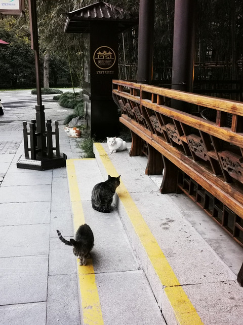 年度最佳酒店套餐—扬州迎宾馆，馥郁芬芳文末彩蛋