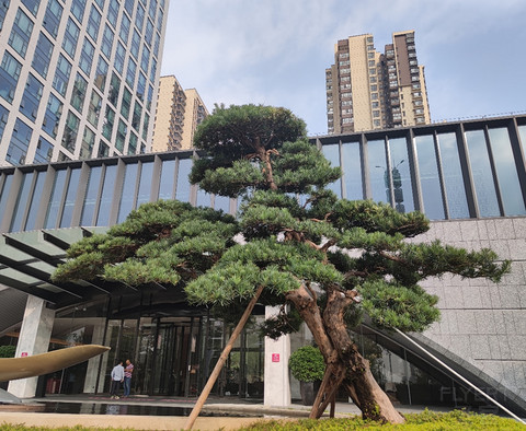 硬件很好软件还在努力-佛山南海保利皇冠假日酒店