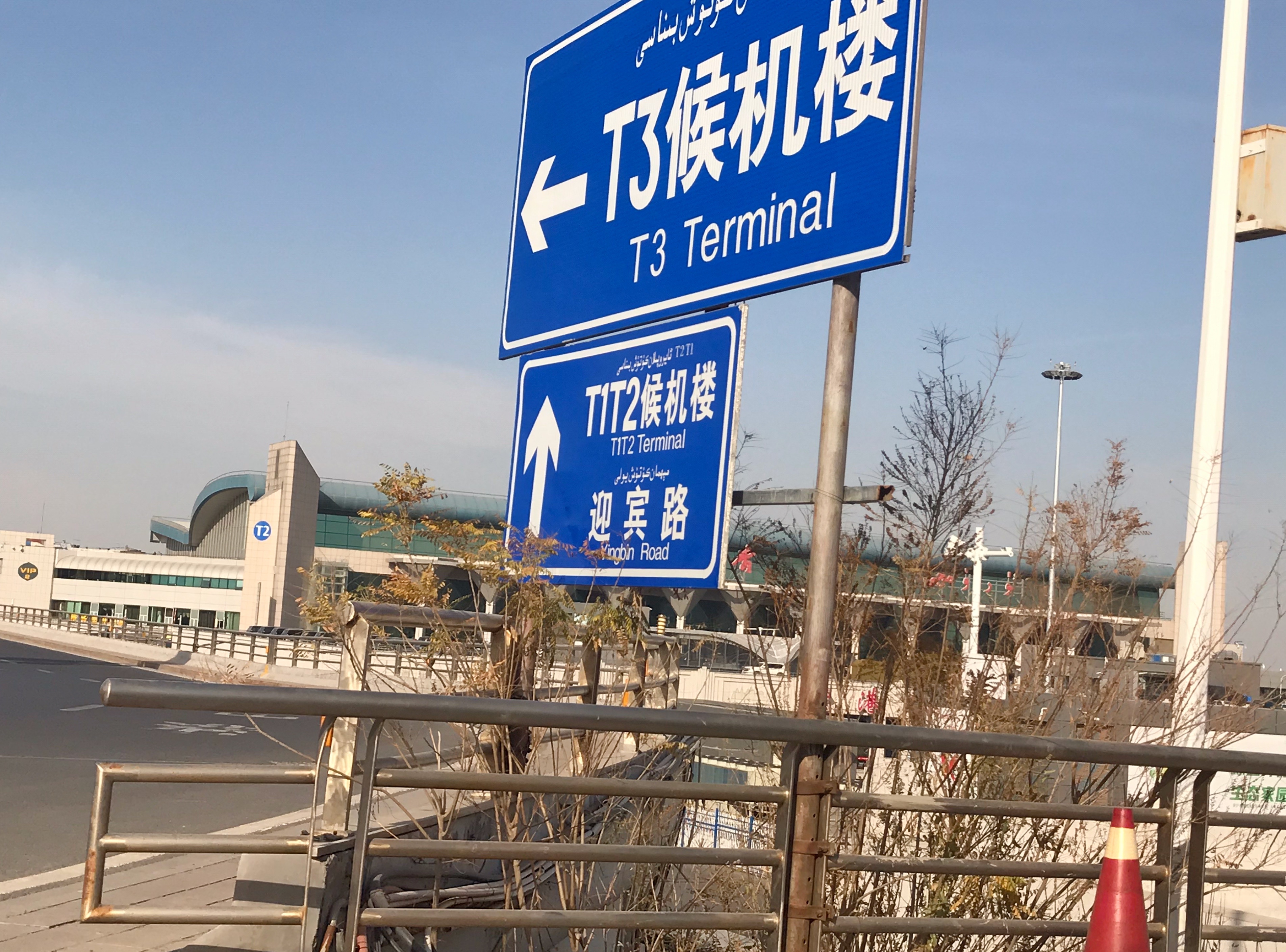 ɽħַ̺鱨 ³ľ롪գȥƪ