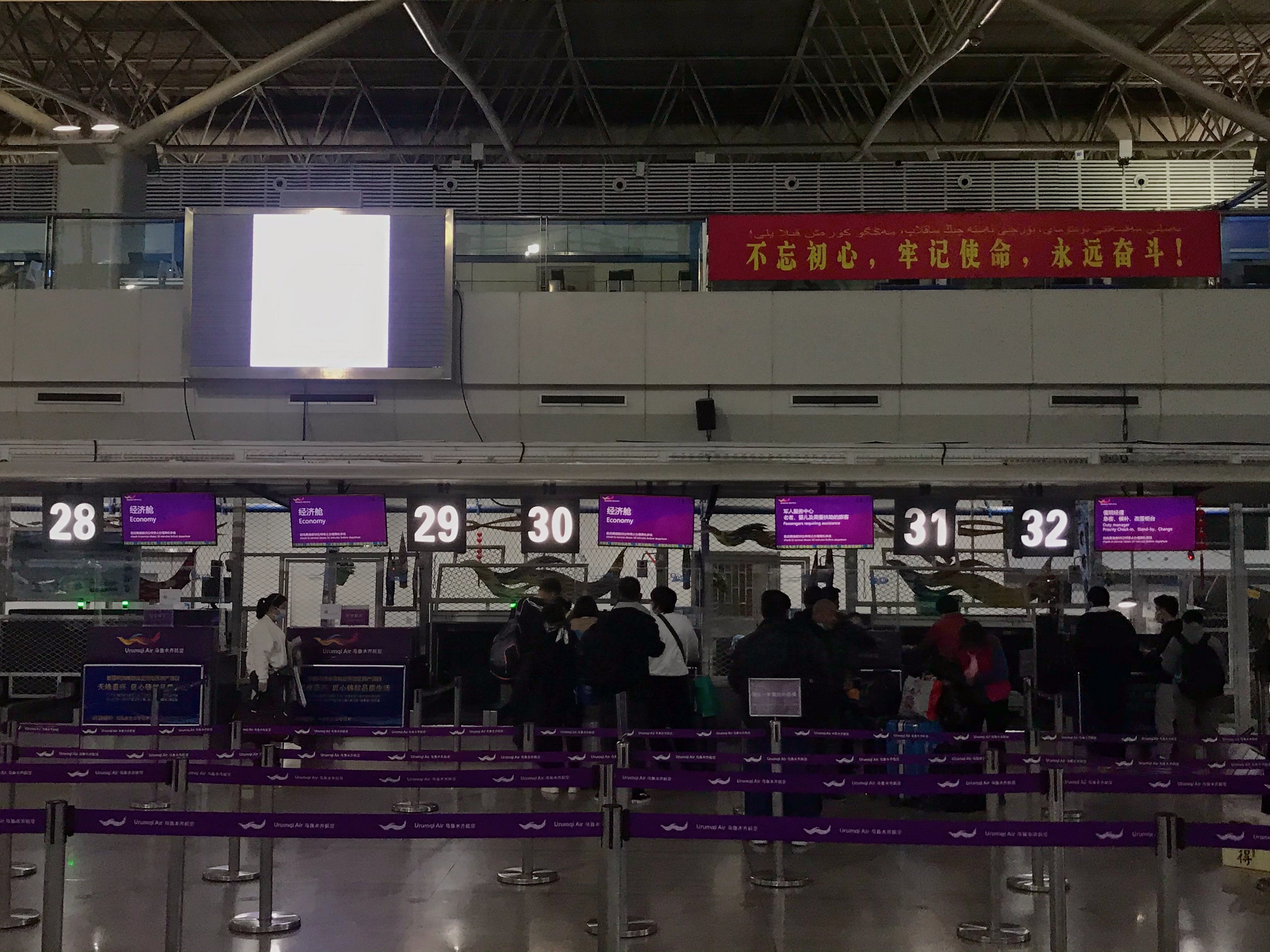 ɽħַ̺鱨 ³ľ롪գȥƪ