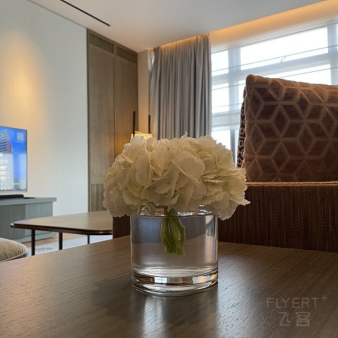 杭州柏悦酒店Park Hyatt Hangzhou 柏悦套房打卡
