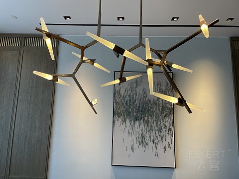 杭州柏悦酒店Park Hyatt Hangzhou 柏悦套房打卡