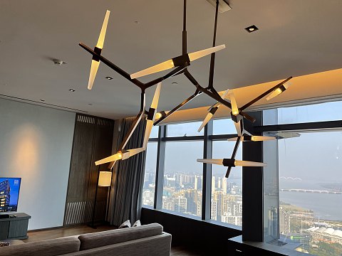 杭州柏悦酒店Park Hyatt Hangzhou 柏悦套房打卡