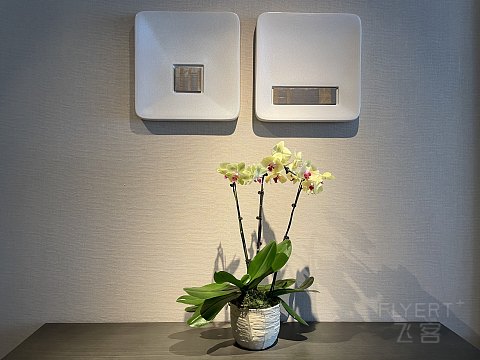 杭州柏悦酒店Park Hyatt Hangzhou 柏悦套房打卡