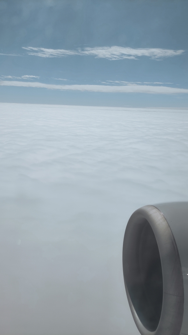ƽӹƽĹTSN-CTU B738