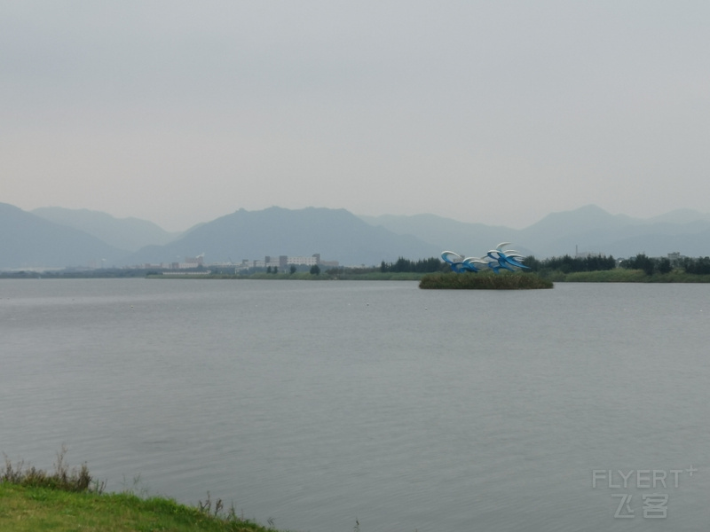 IMG_20201107_134005.jpg
