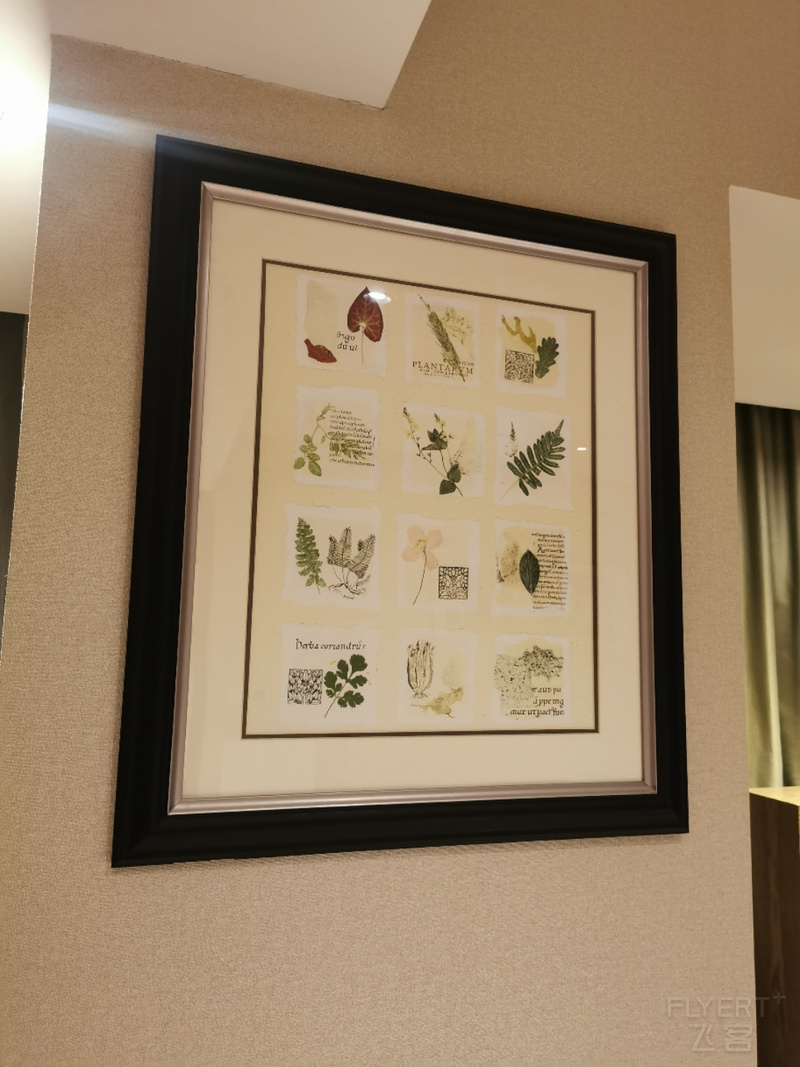 IMG_20201110_185047.jpg