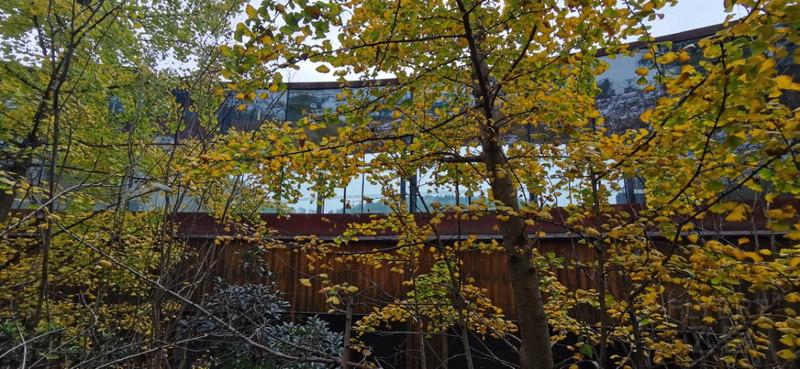 IMG_20201114_121353.jpg