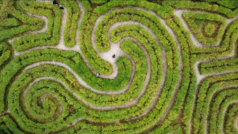 Photo_6554473_DJI_873_jpg_4197061_0_20201114104130_photo_original.jpg
