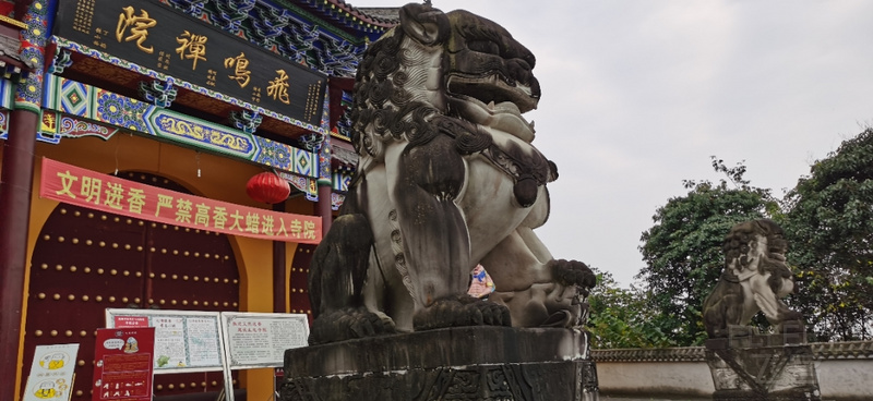 IMG_20201114_134652.jpg