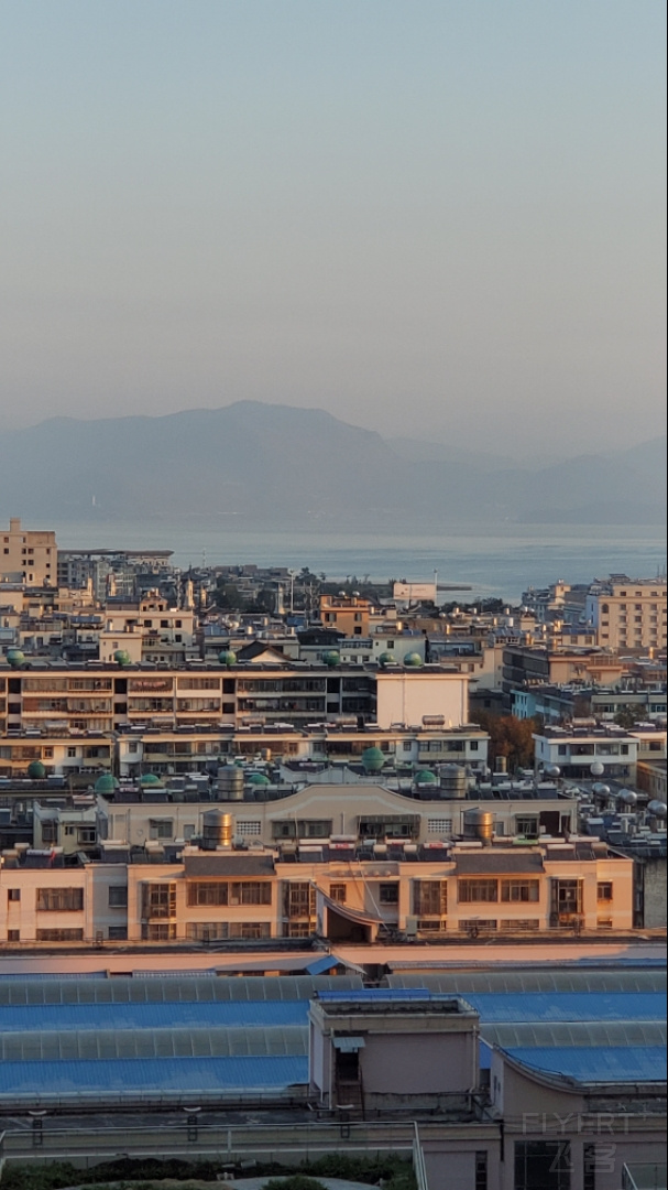 20201115_075810.jpg