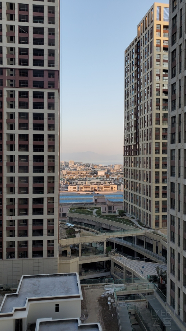 20201115_080116.jpg