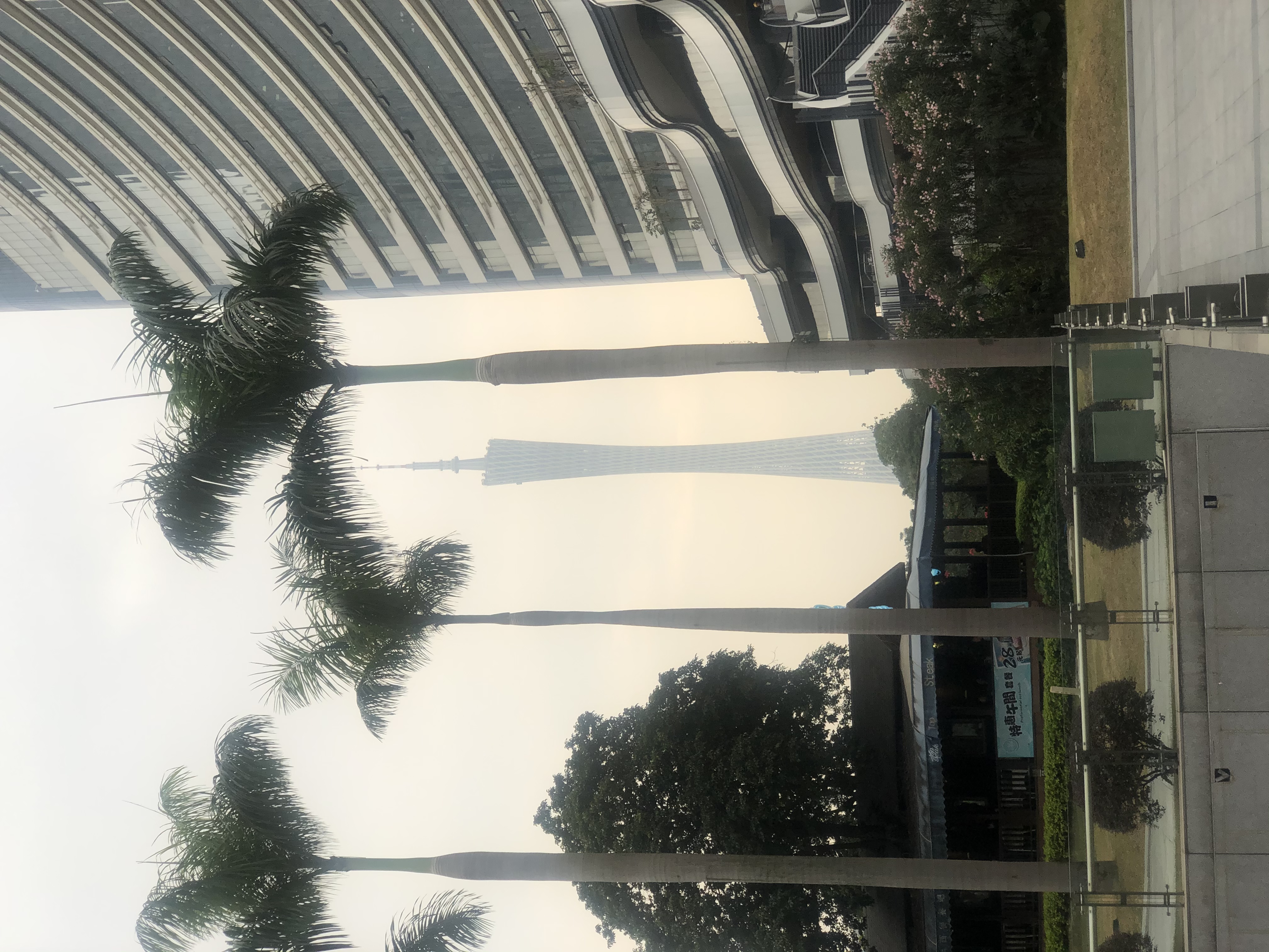 W  hotelס