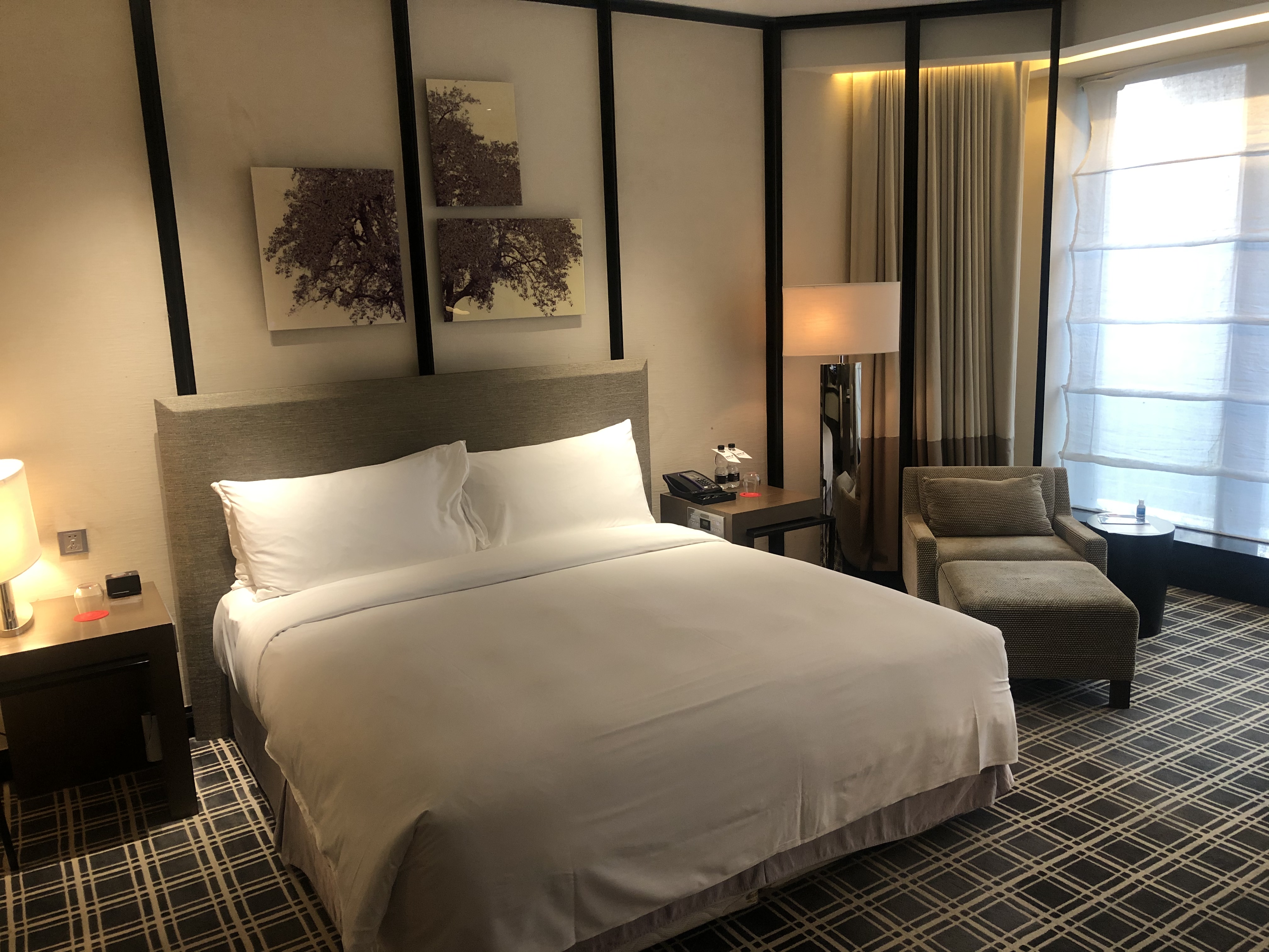 W  hotelס