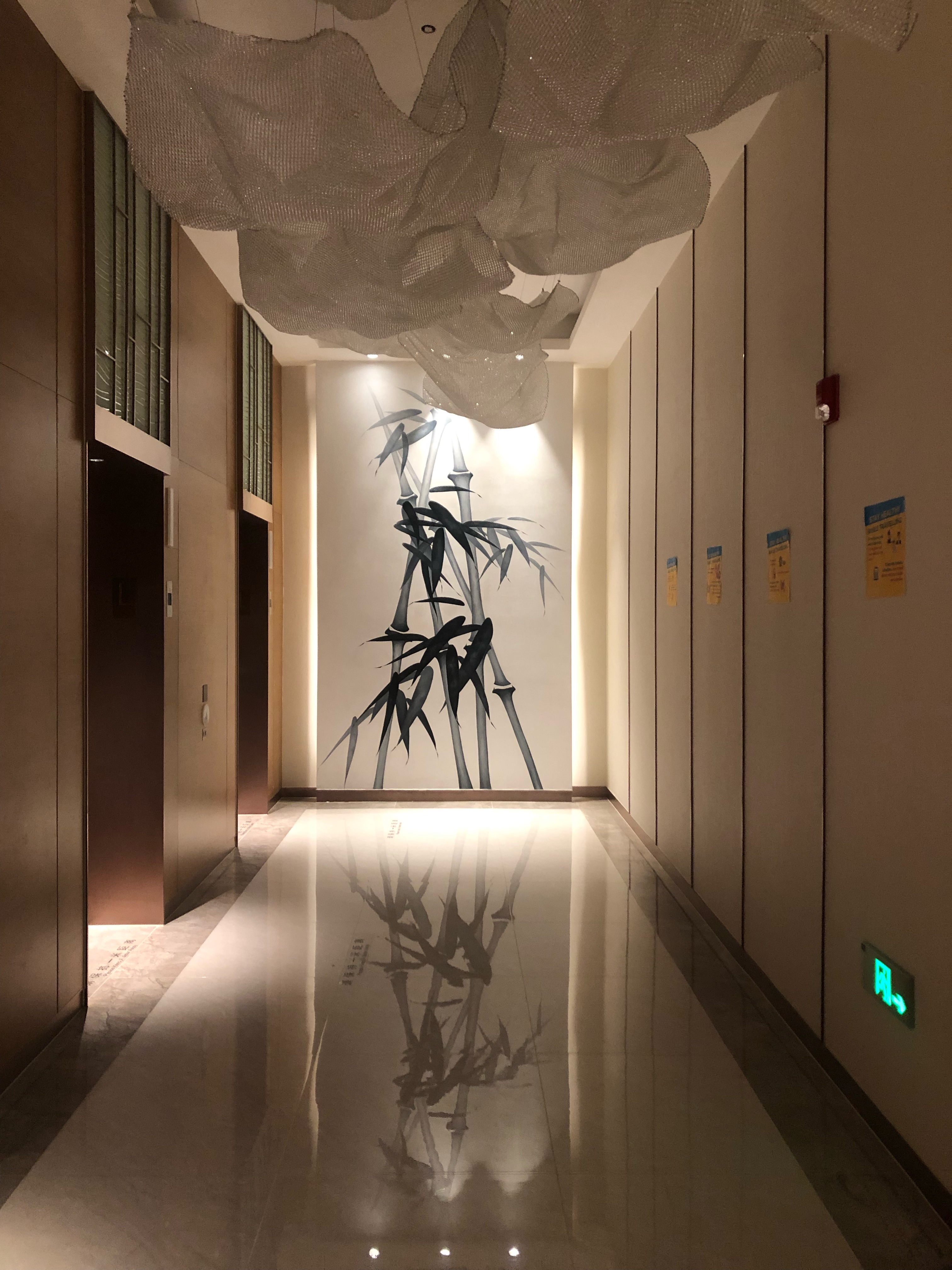 忭ü 