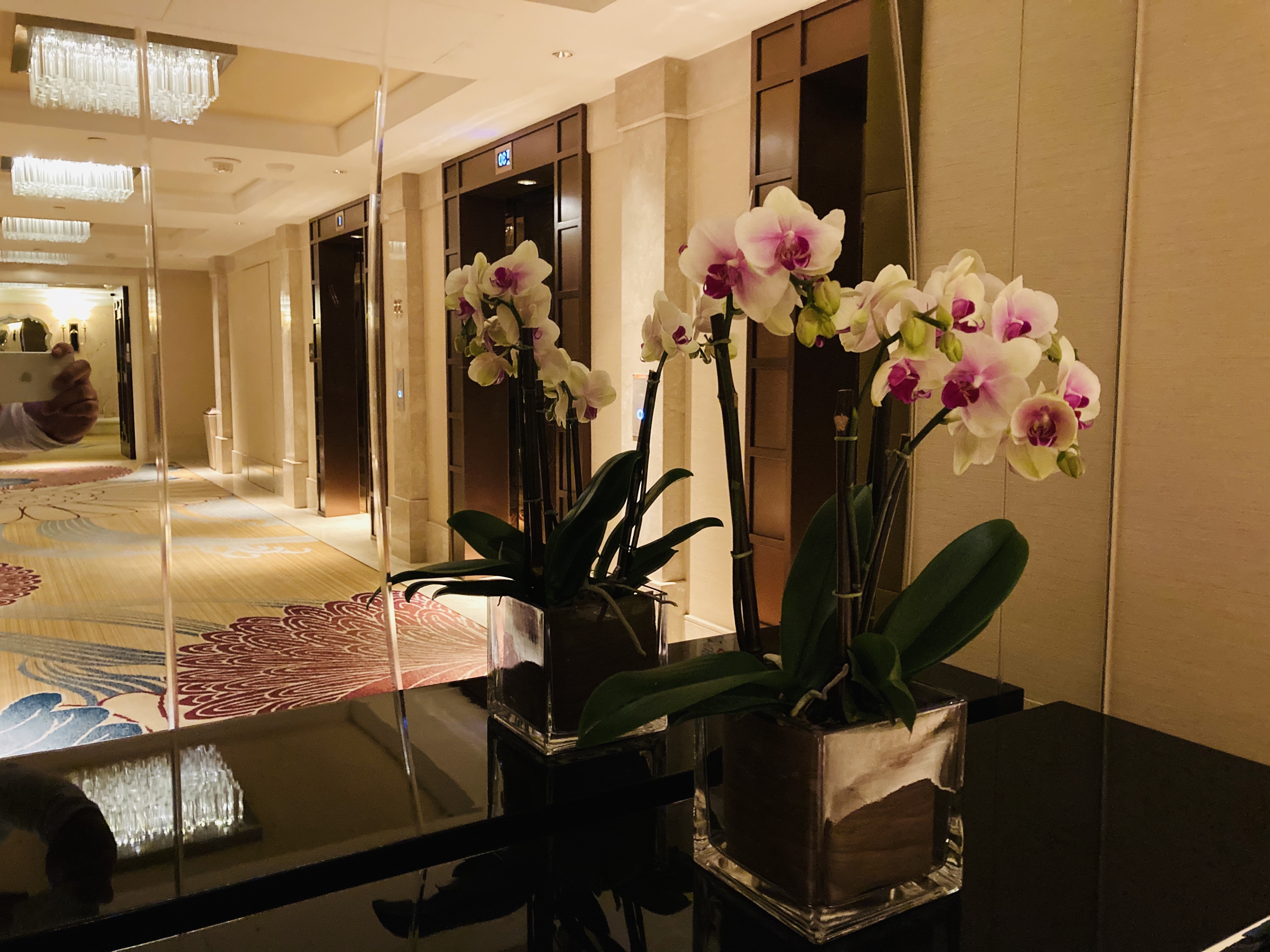 ؼſconrad macau
