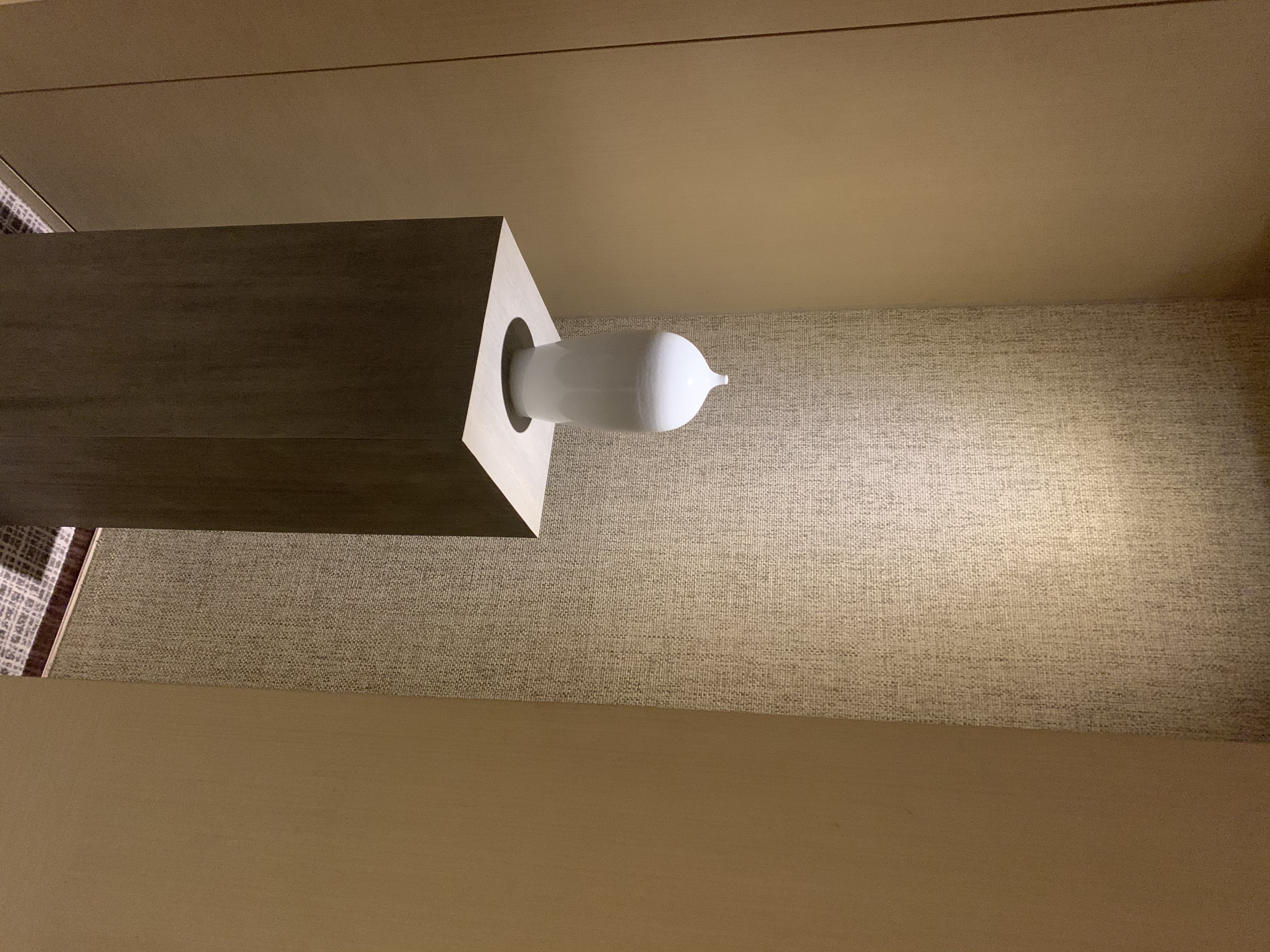 ĵʿ