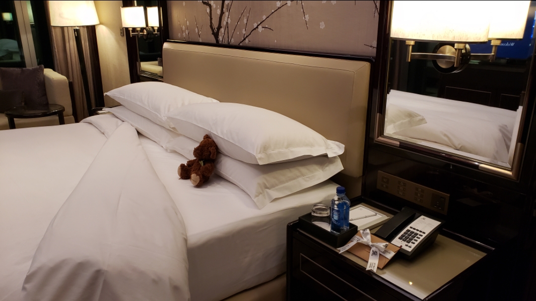 ɳ𼪾Ƶ-׷ ST Regis, Changsha