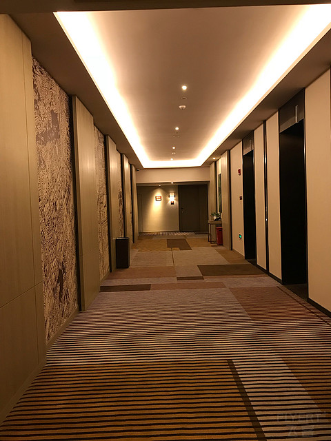 小城市品牌首住惊喜之旅——洛阳凯悦嘉轩酒店