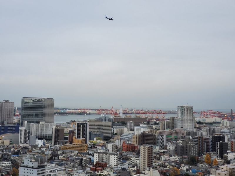 20201224_152948.jpg