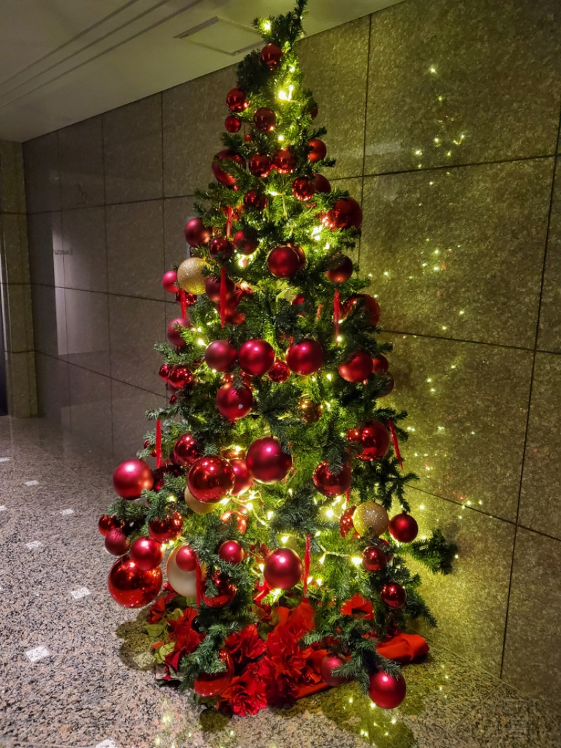 20201224_155913.jpg