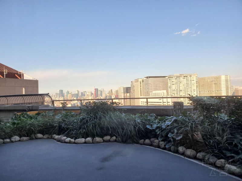 20201225_142307.jpg