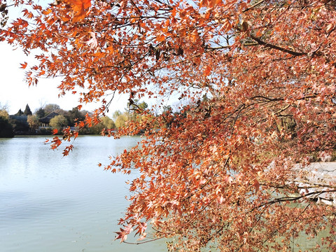住一栋楼，了解一座城 — 扬州迎宾馆