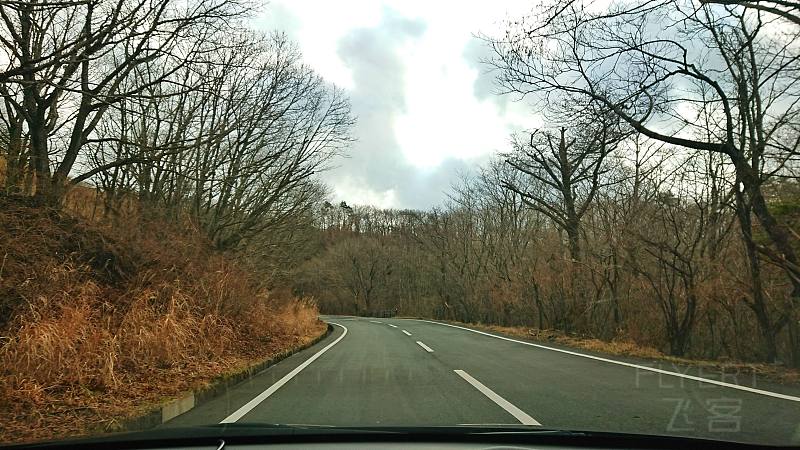 DSC_1873-02.jpeg