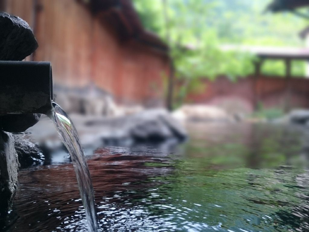 Ȫȼʤحӭ´